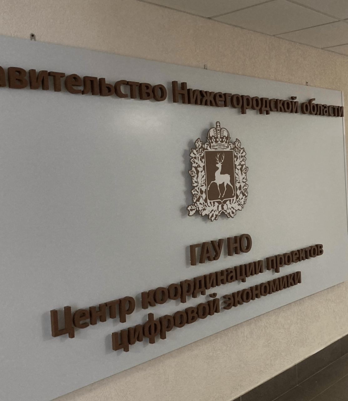 ГАУ Нижегородской области «ЦИТ»