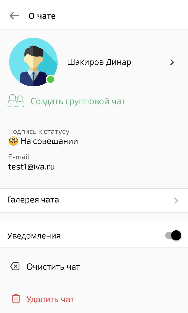 Информация о чате