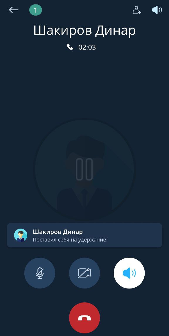 Удержание вызова