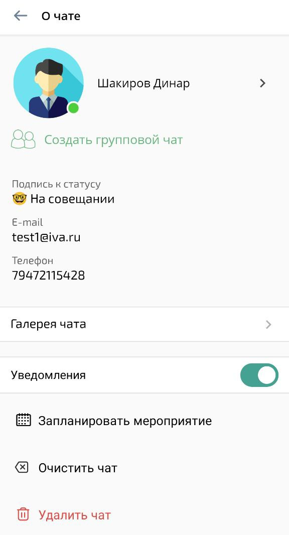 Информация о чате