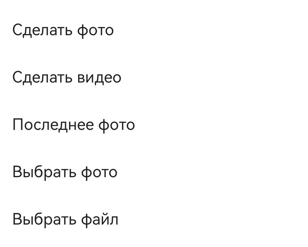 Прикрепить файл