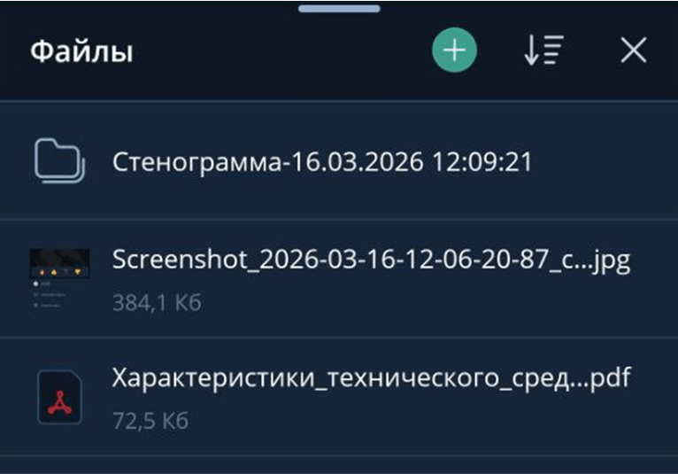 Файлы мероприятия