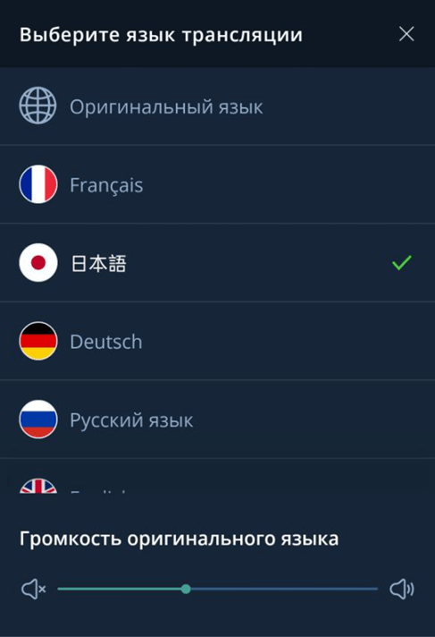 Язык трансляции
