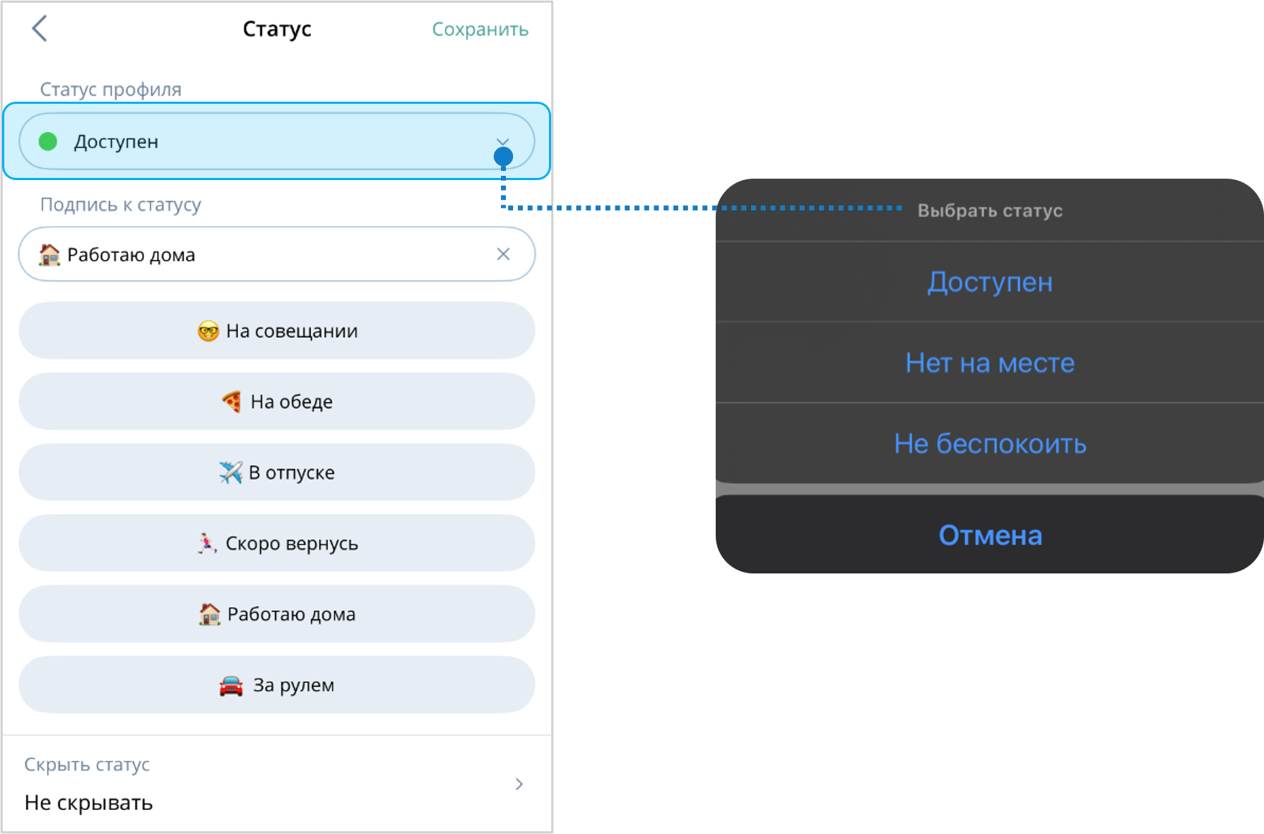 Пользовательский статус