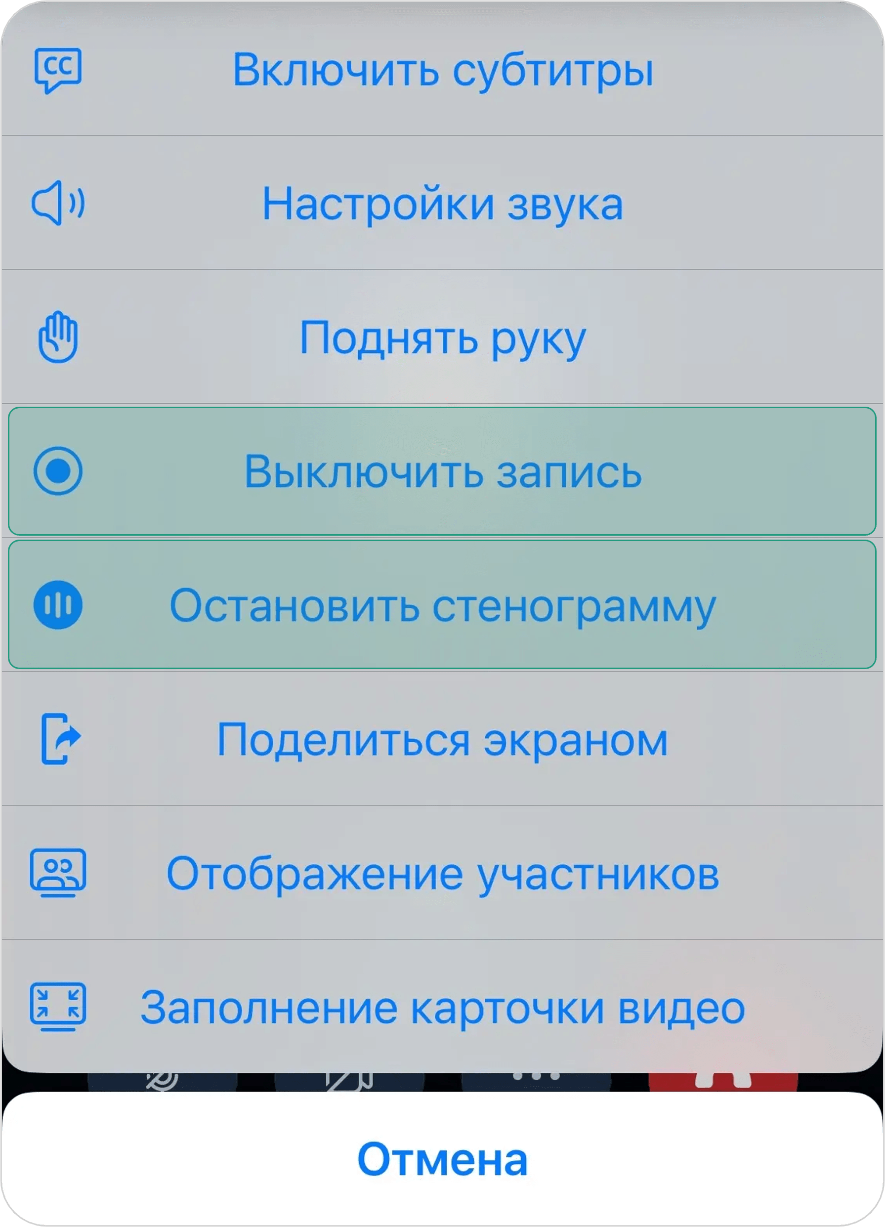 Выключение записи и остановка стенограмы