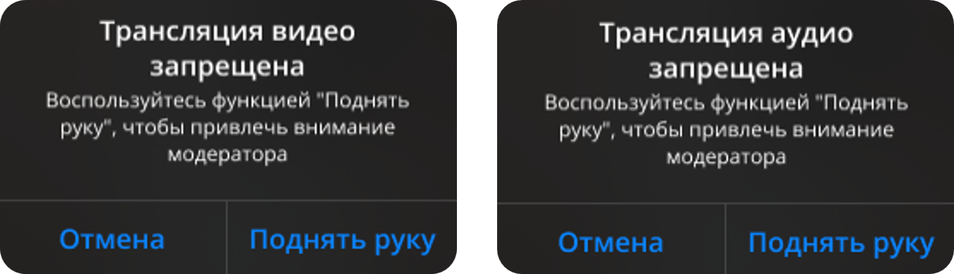 Запрос на разрешение трансляции аудио/видео