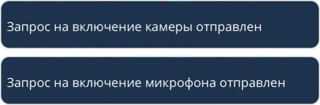 Запрос на включение микрофона и камеры