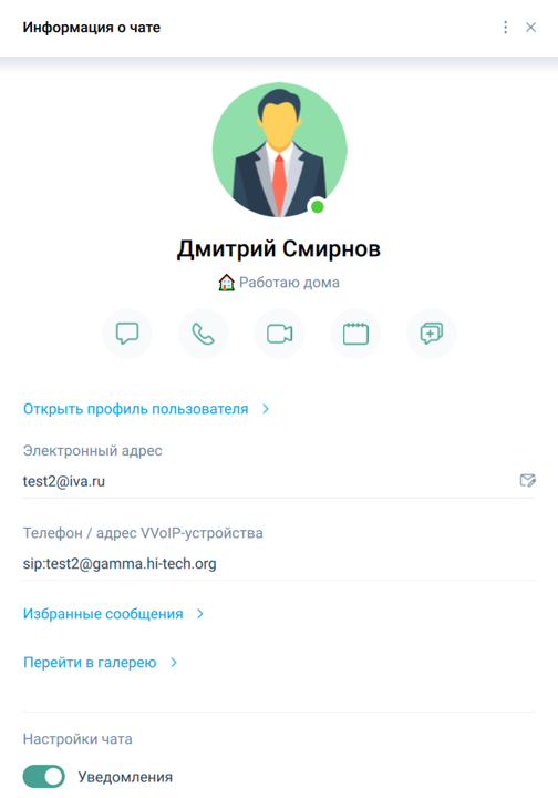 Информация о чате