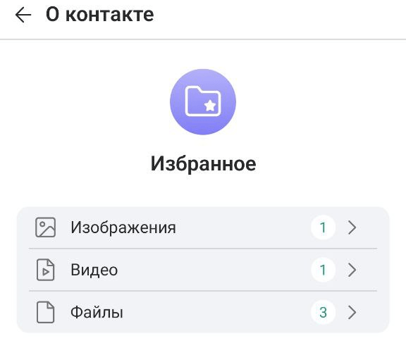 Профиль чата Избранное