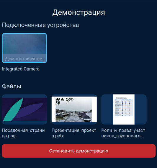 Кнопка Остановить демонстрацию