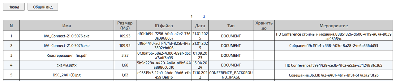 Информация о файловом хранилище пользователя (детальный вид)