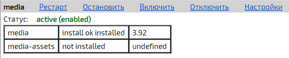 Запущенный модуль Платформы 1