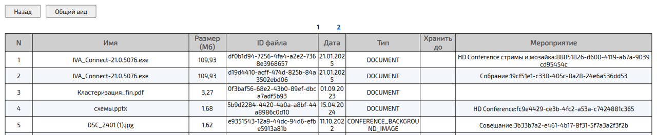 Информация о файловом хранилище пользователя (детальный вид)