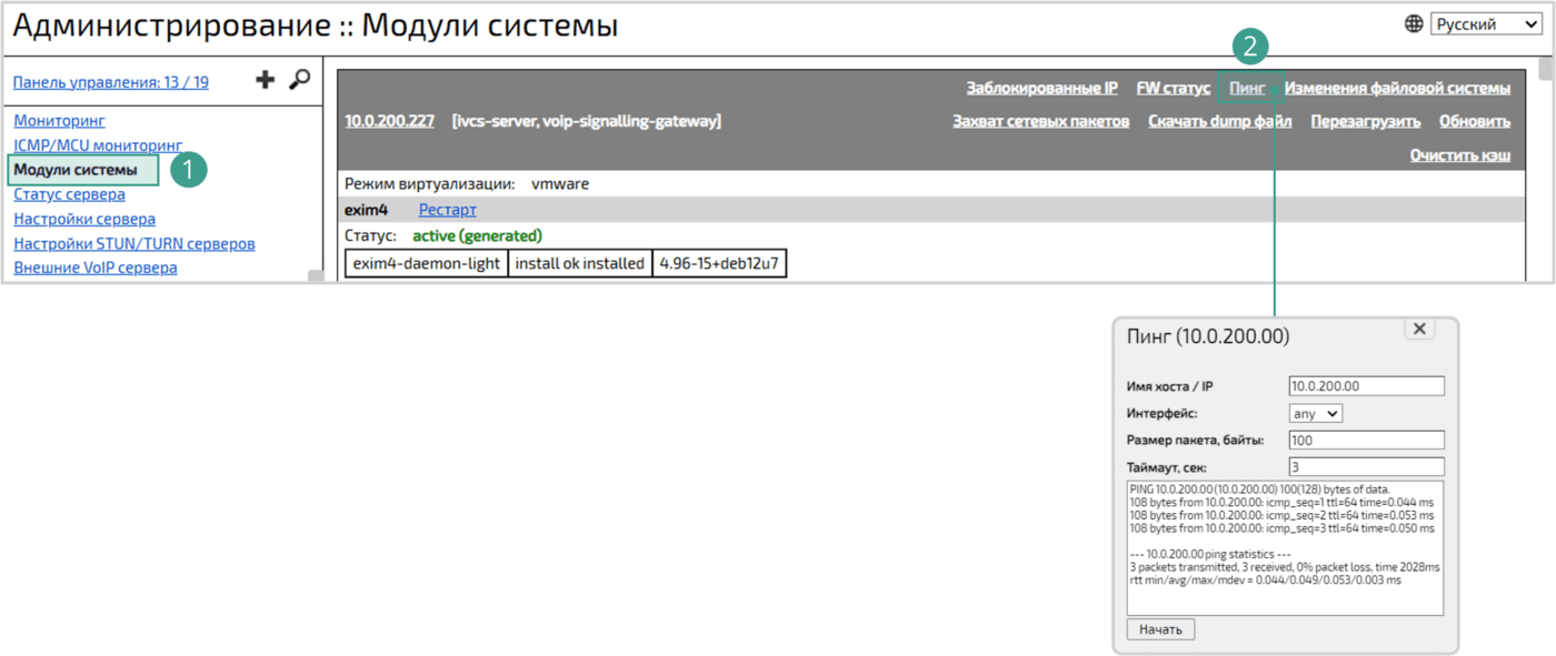 Пинг