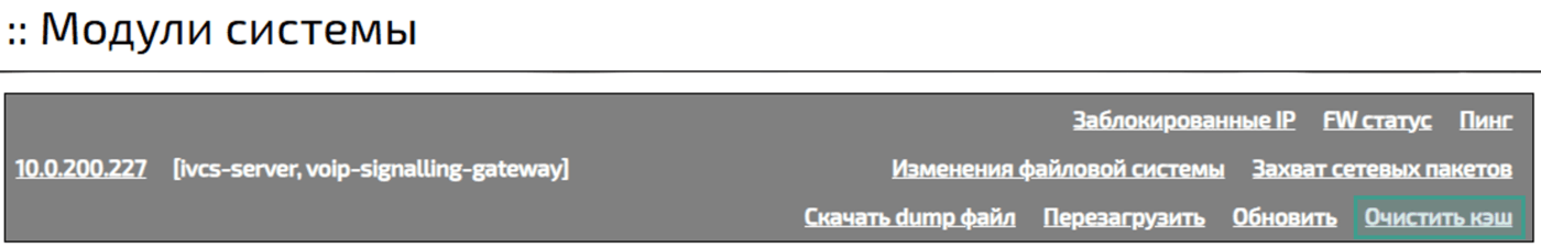 Очистка кэш модуля ivcs-server