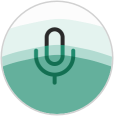 Иконка Микрофон включен