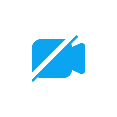 Иконка Камера включена (видео не транслируется