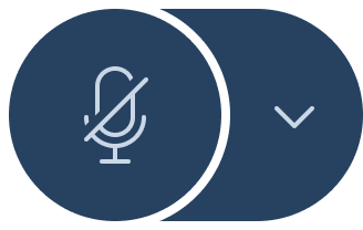 Иконка Микрофон выключен