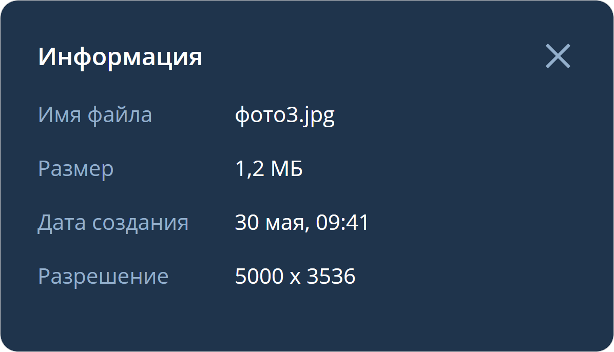 Информация о просматриваемом файле