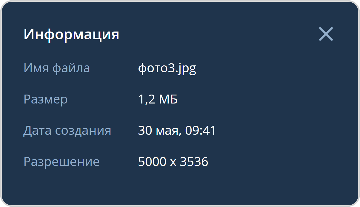 Информация о просматриваемом файле