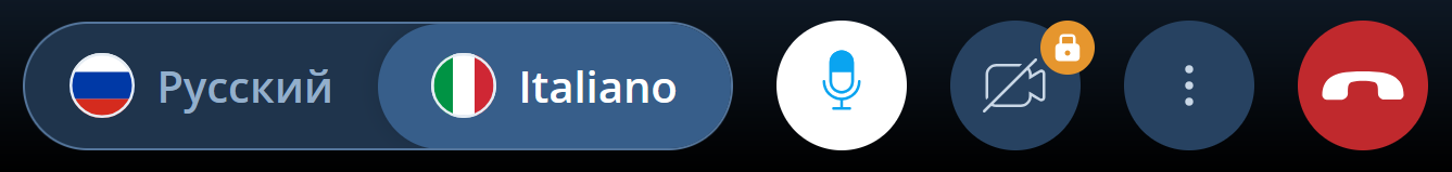 Панель управления Переводчика