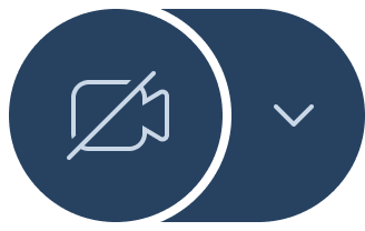 Иконка Камера выключена