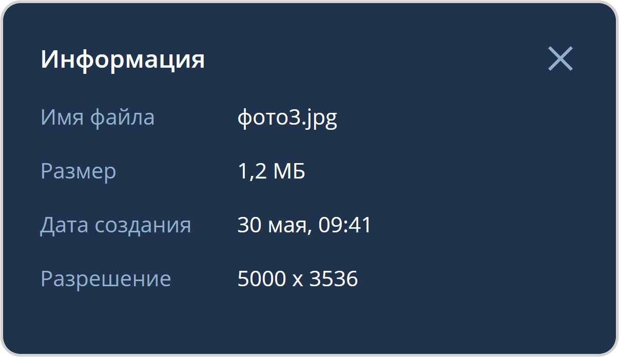 Информация о просматриваемом файле